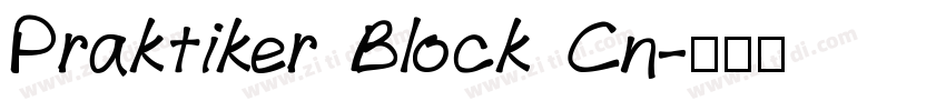 Praktiker Block Cn字体转换